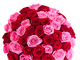 Букет из Красных и Розовых роз