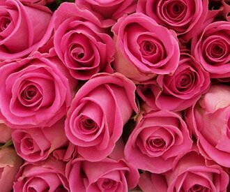 Букеты из розовых роз