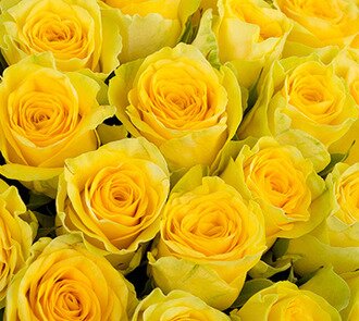 Букеты из желтых роз
